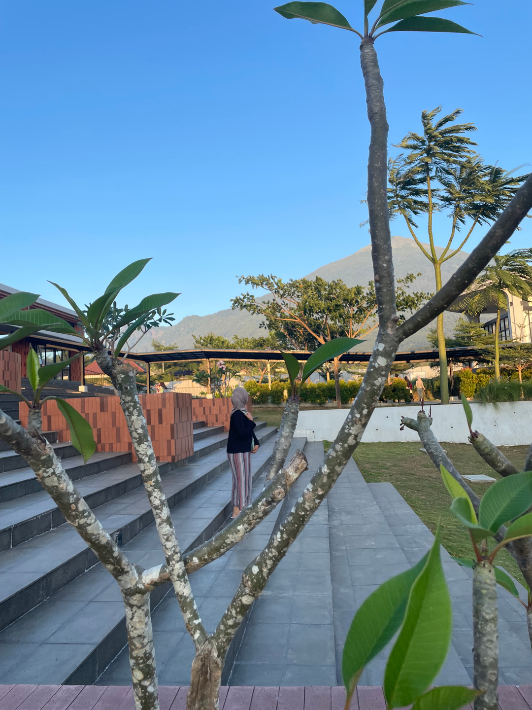 userImage-2