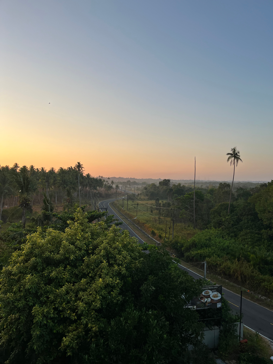 userImage-3