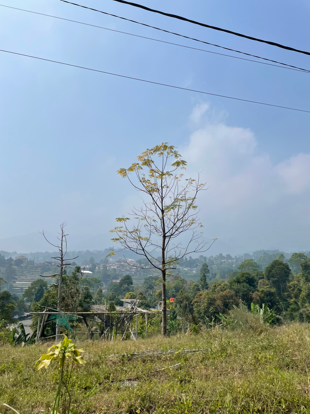 userImage-8