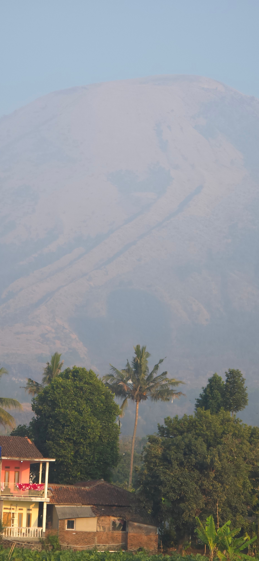 userImage-3