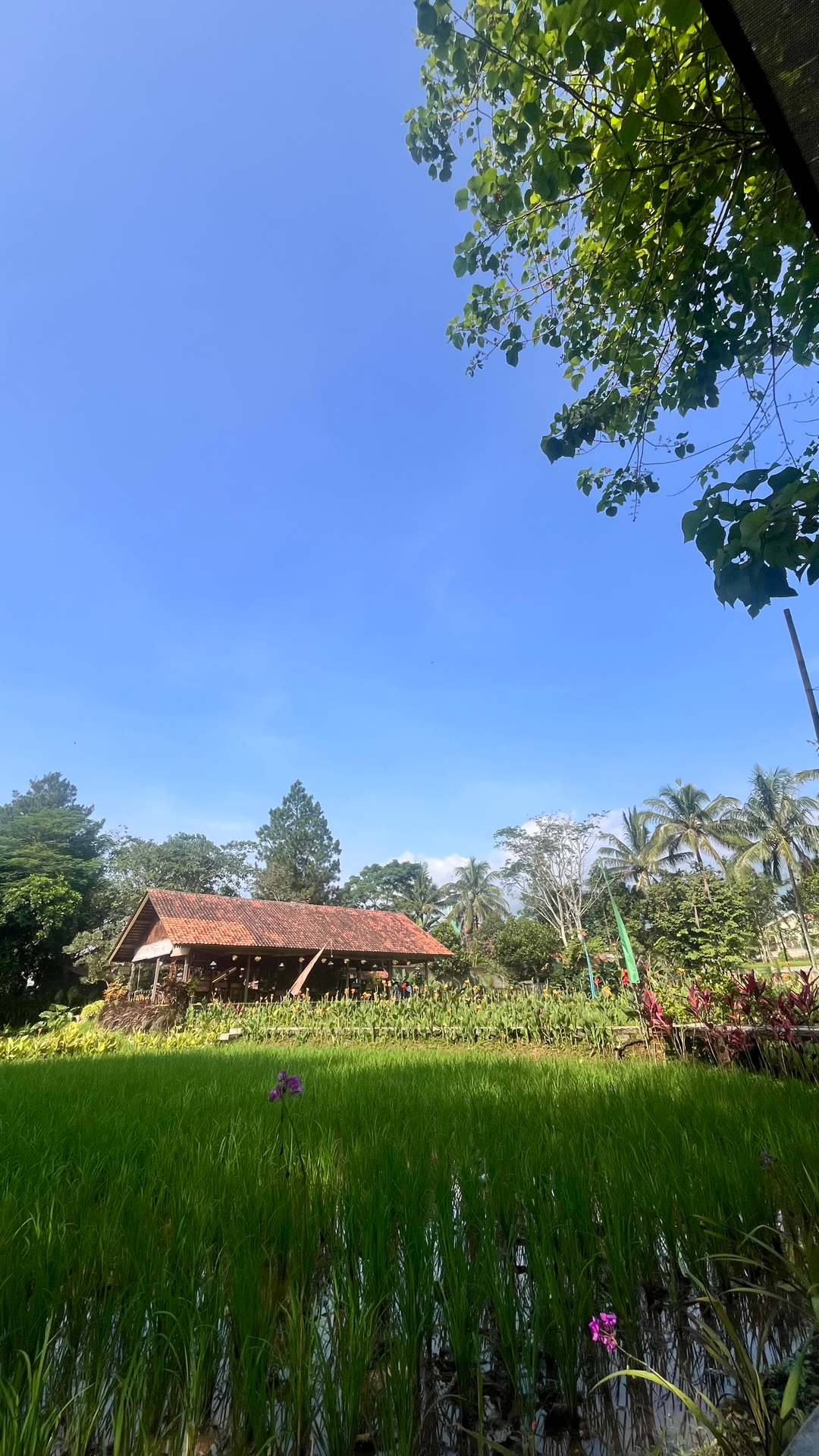 userImage-11