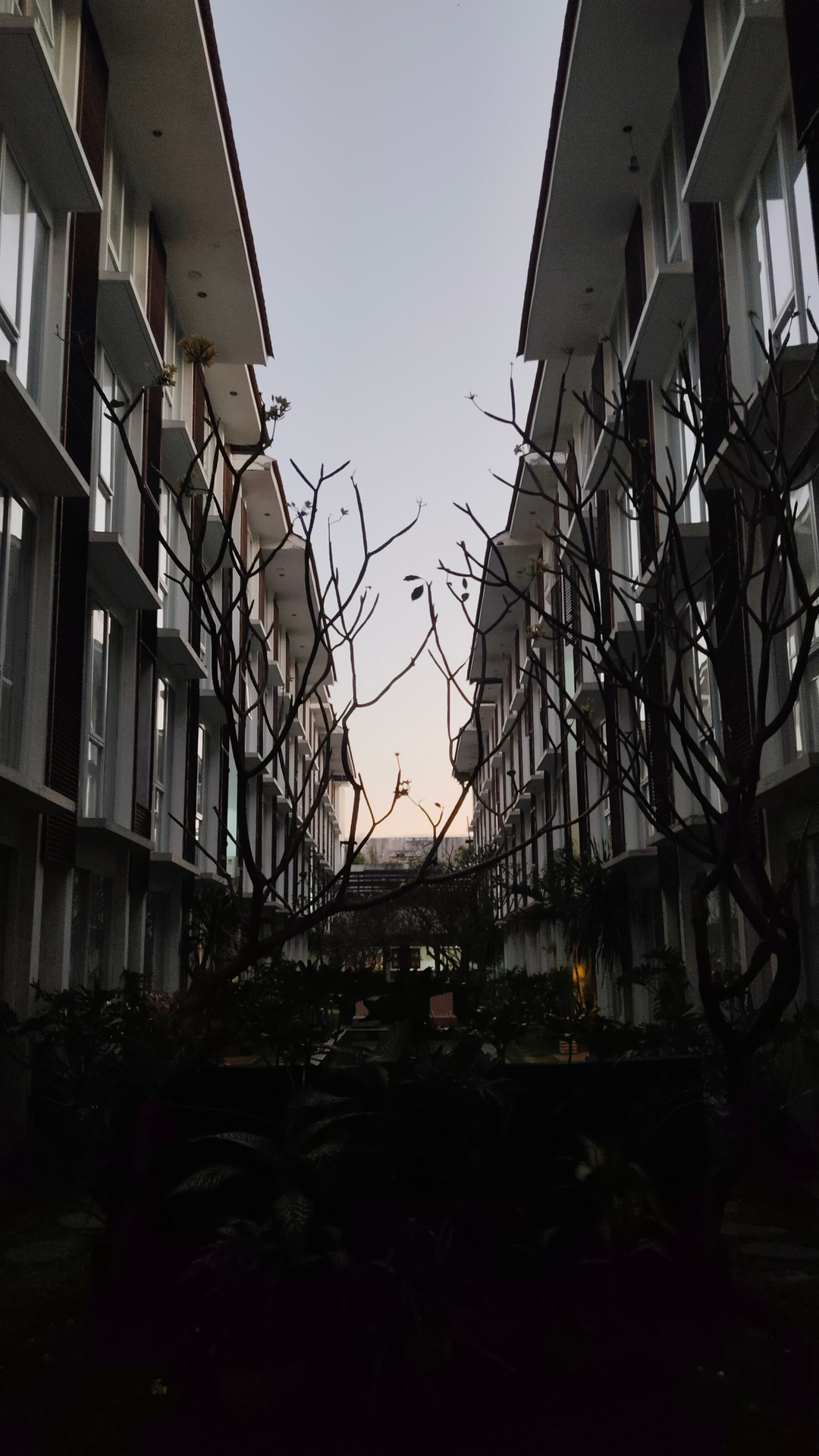 userImage-0