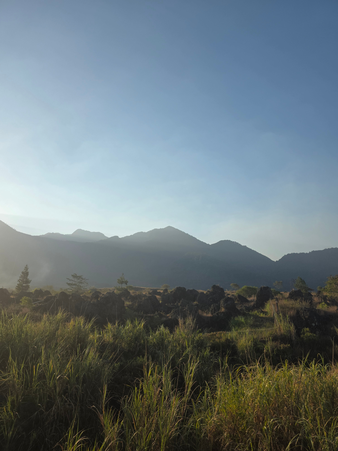 userImage-1