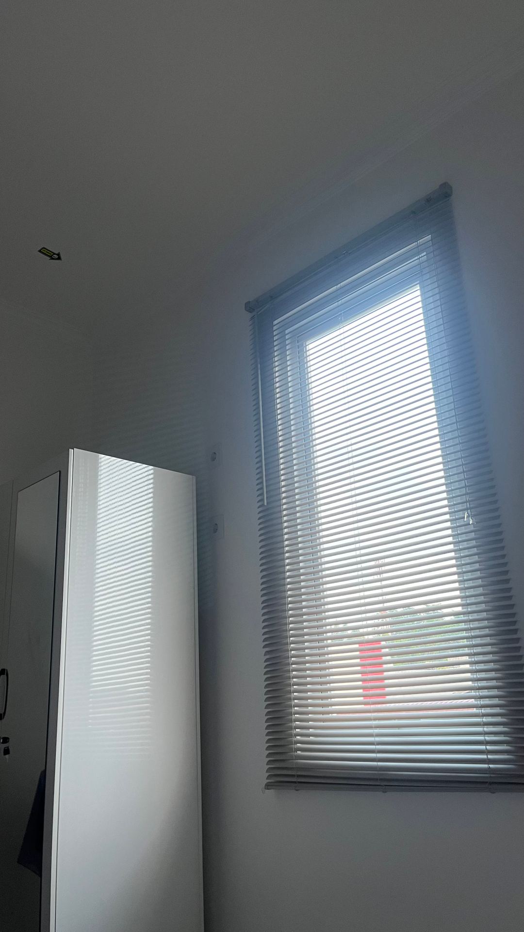 userImage-6