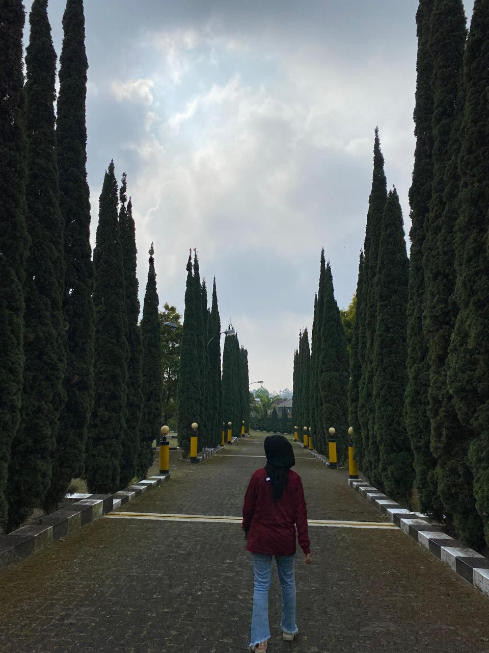 userImage-6
