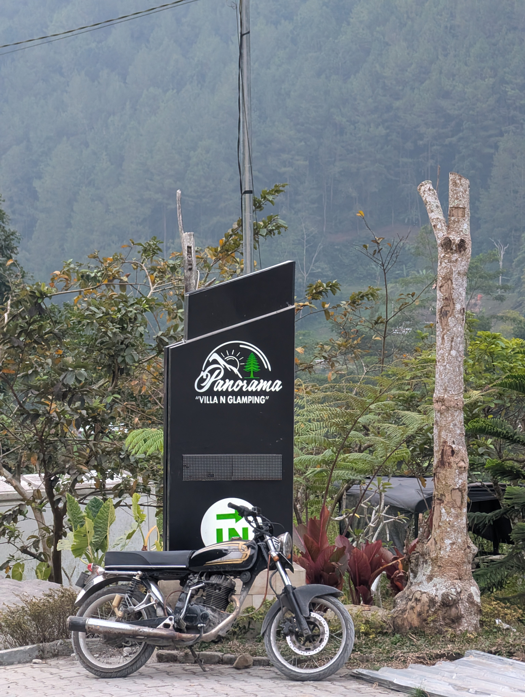 userImage-1
