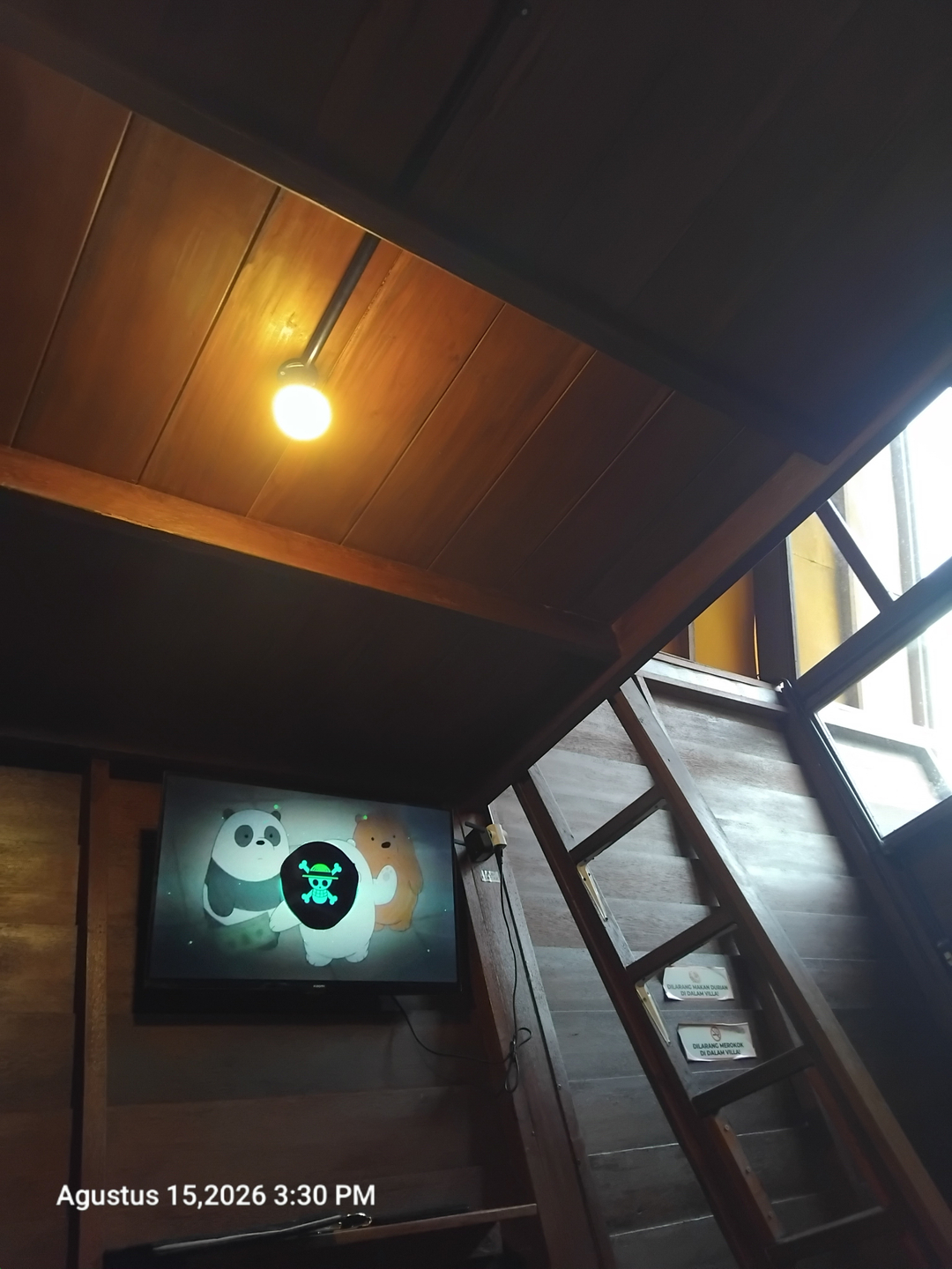 userImage-8