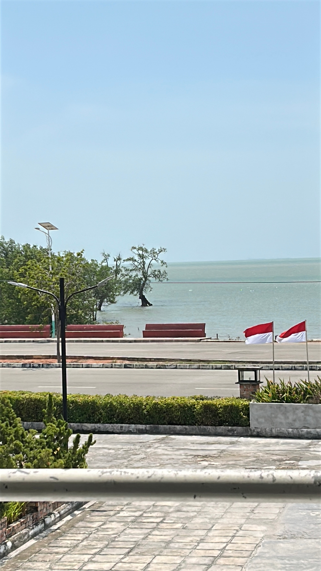 userImage-0
