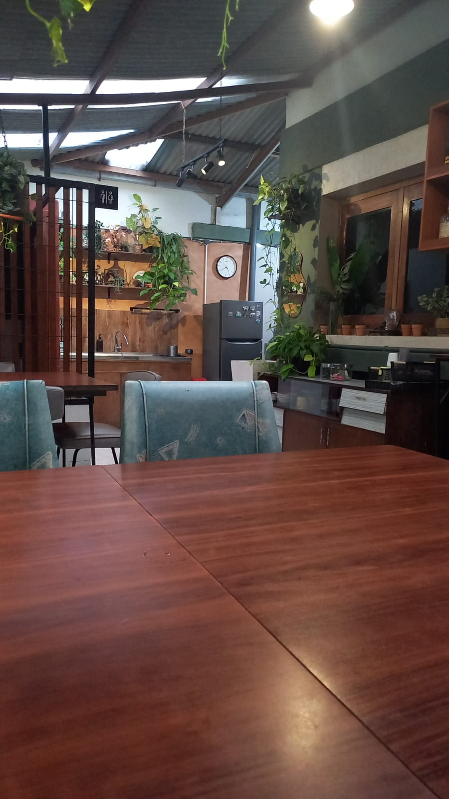 userImage-1
