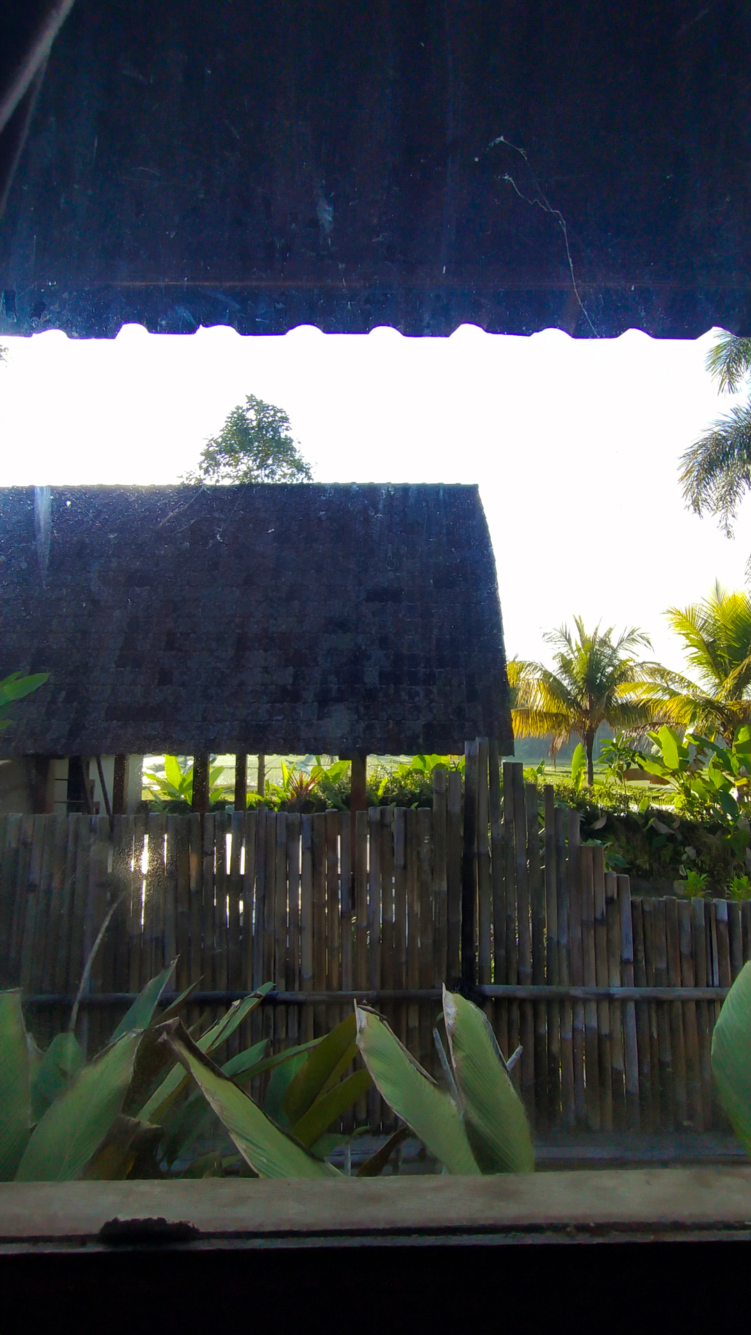 userImage-1