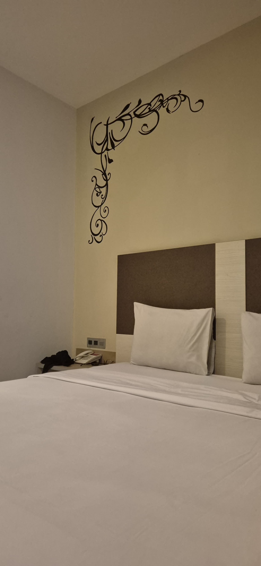 userImage-4