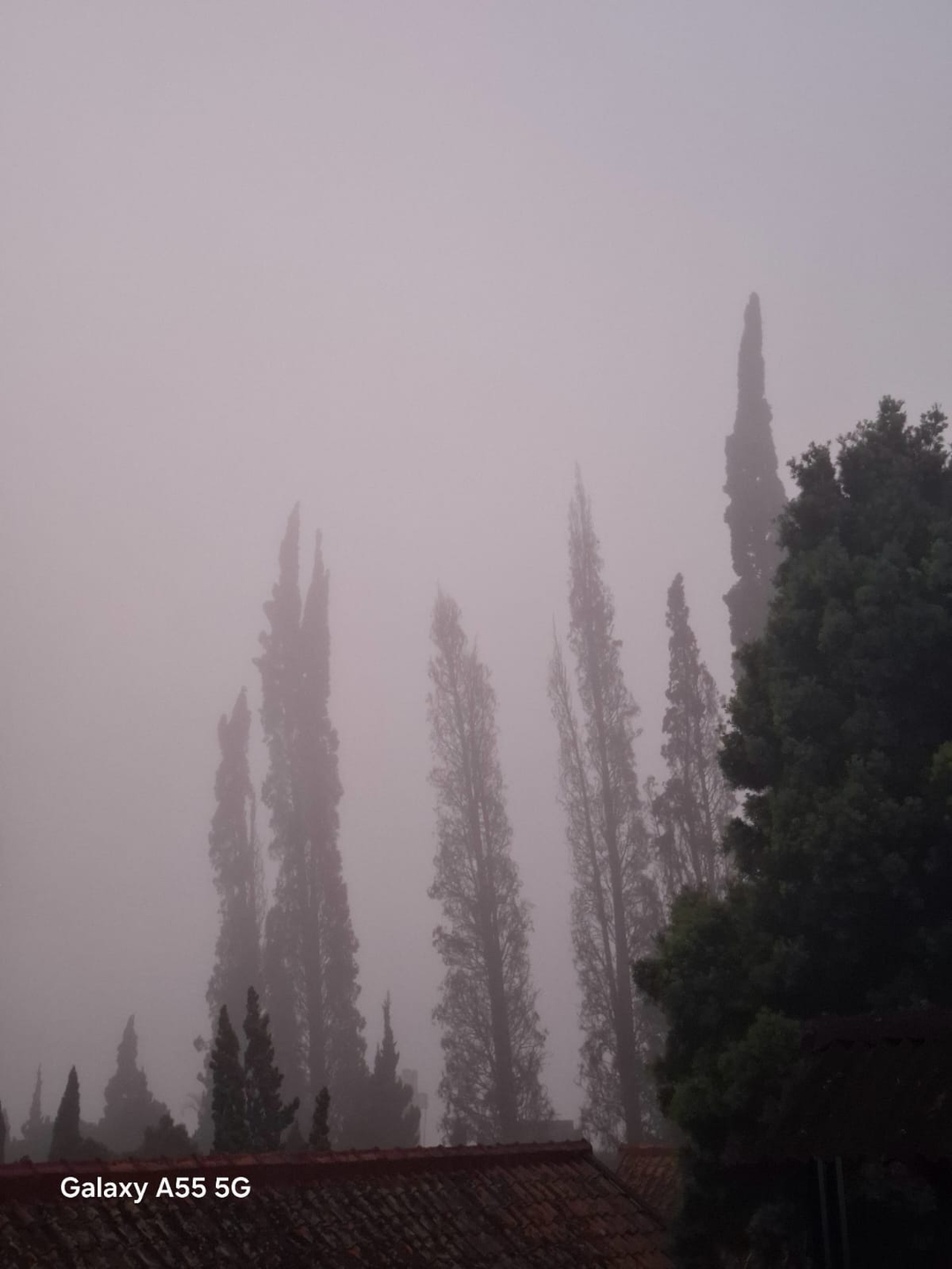 userImage-6