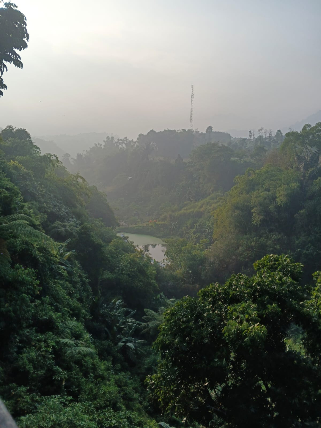 userImage-0