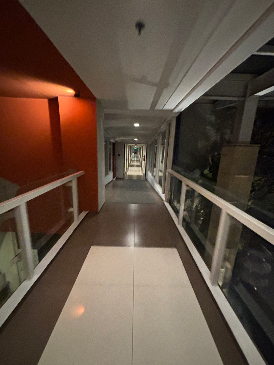 userImage-6
