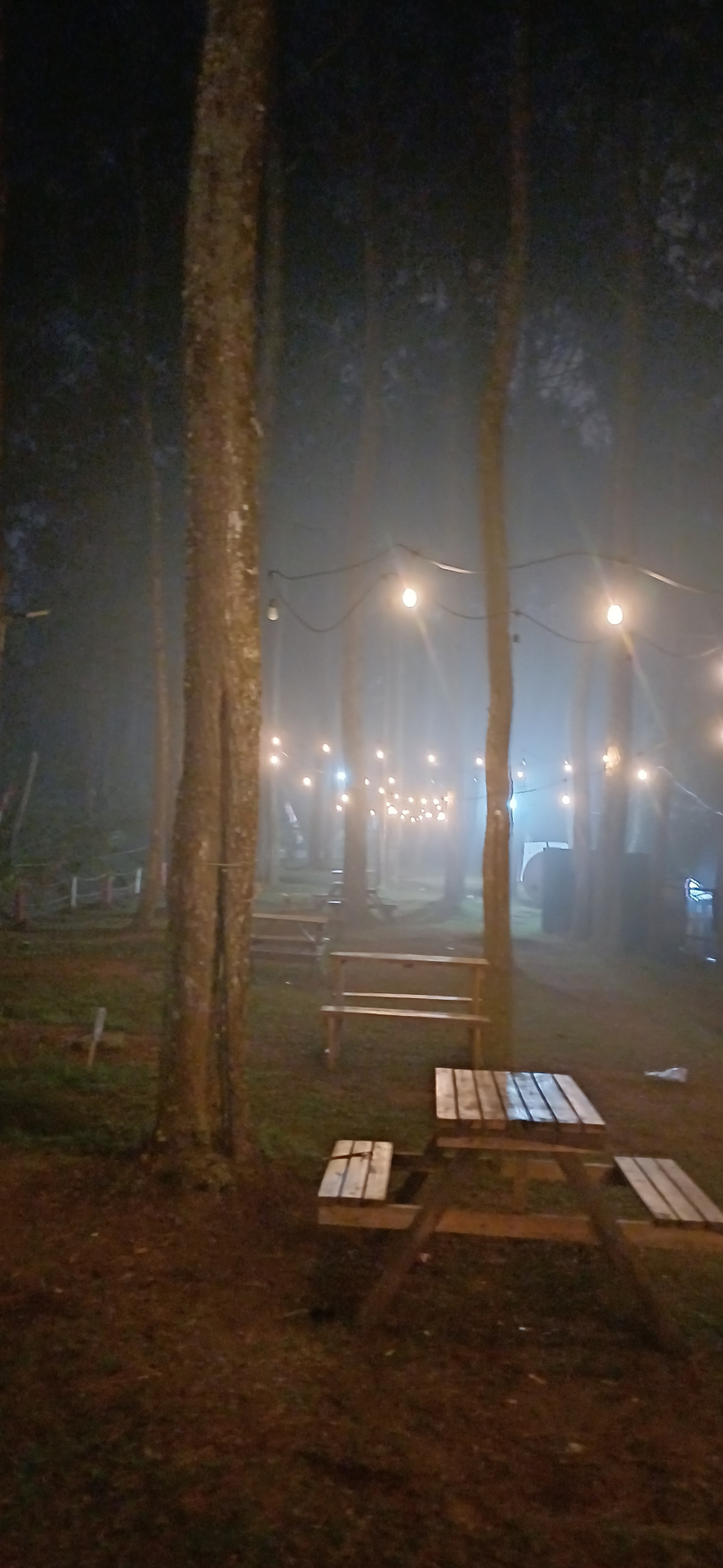 userImage-0