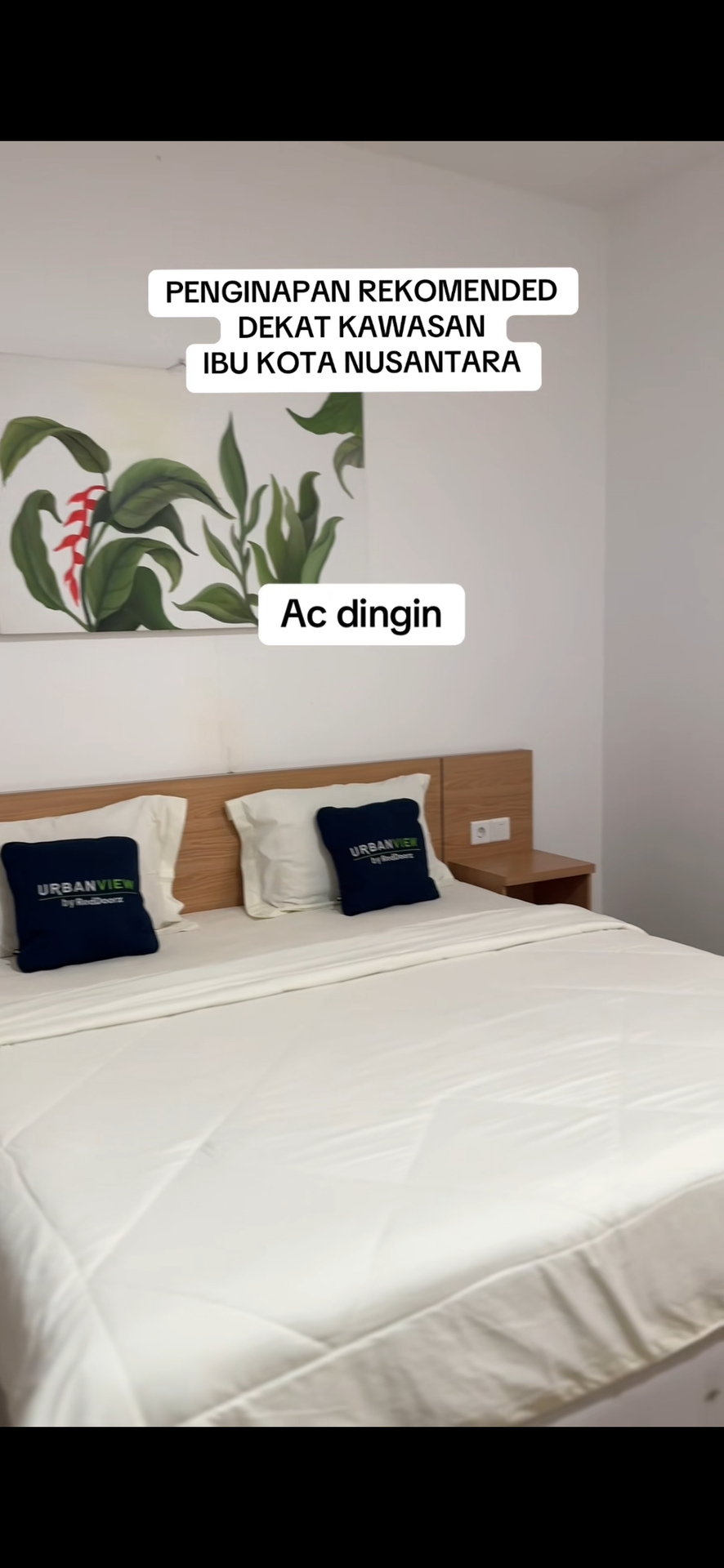 userImage-1