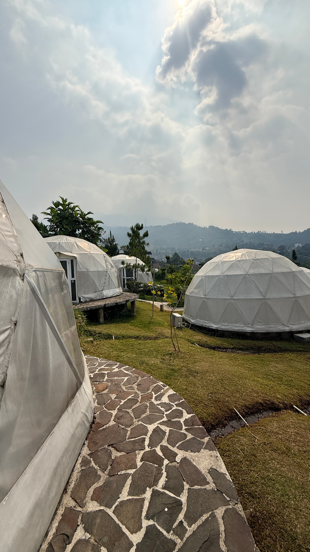 userImage-1