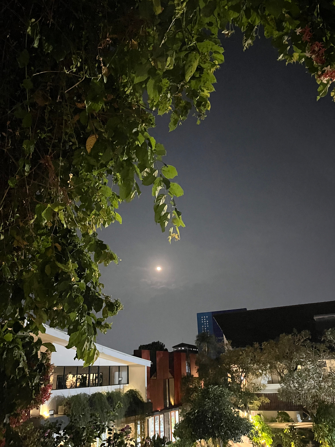 userImage-1