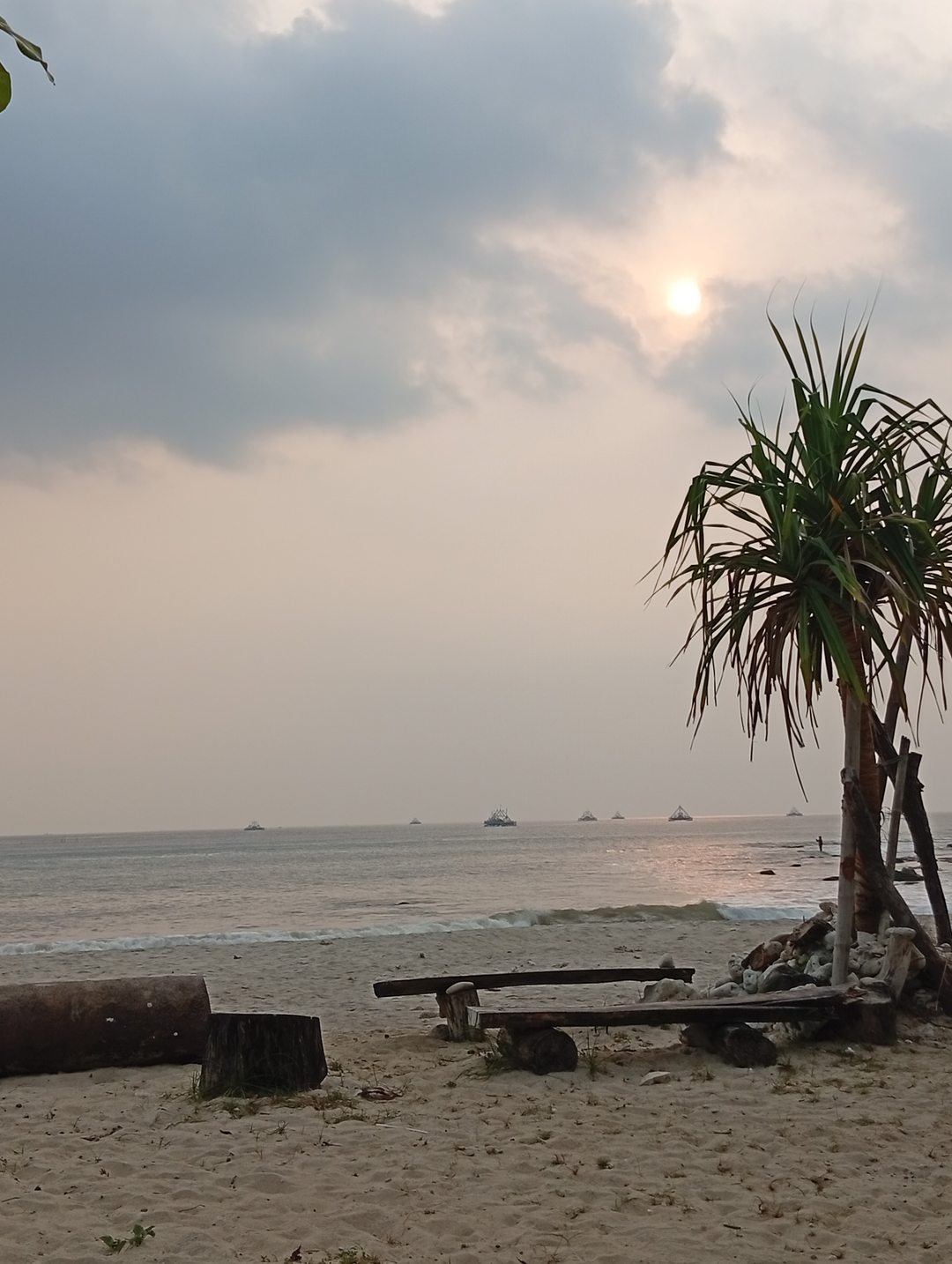 userImage-1