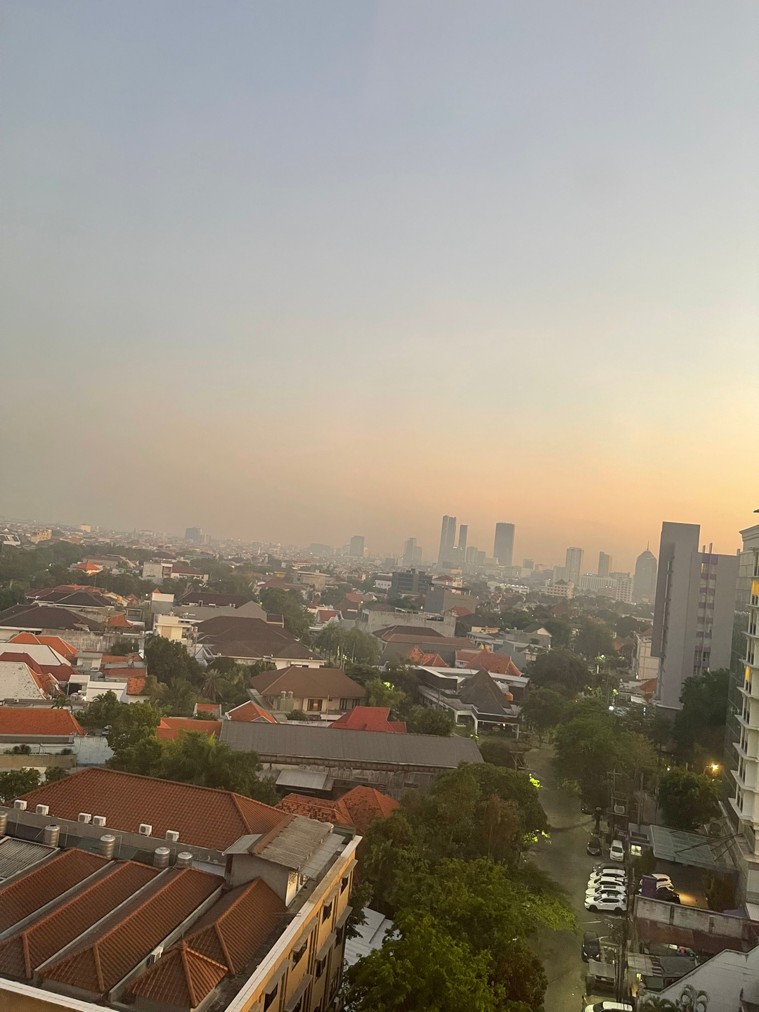 userImage-1