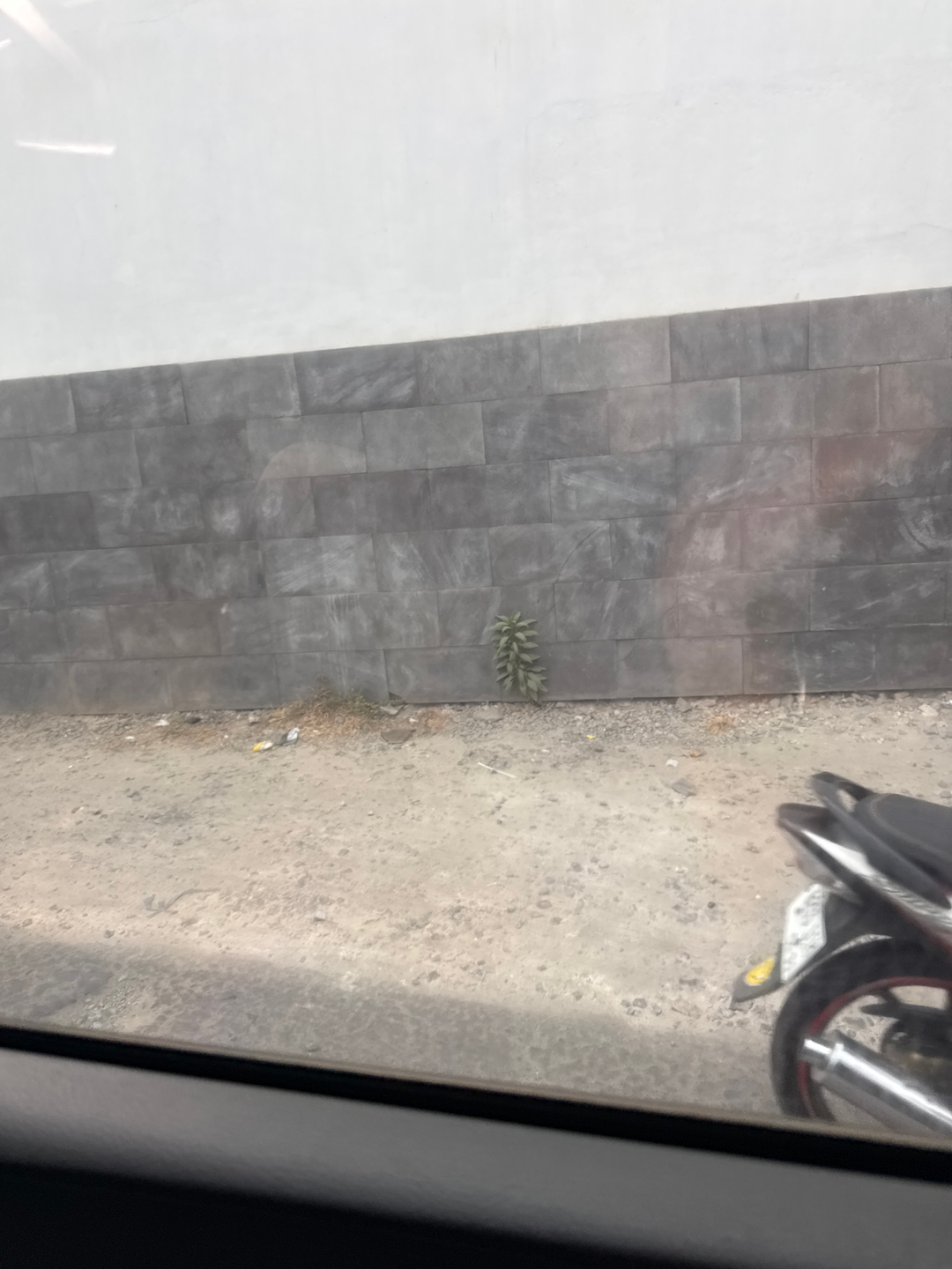 userImage-4