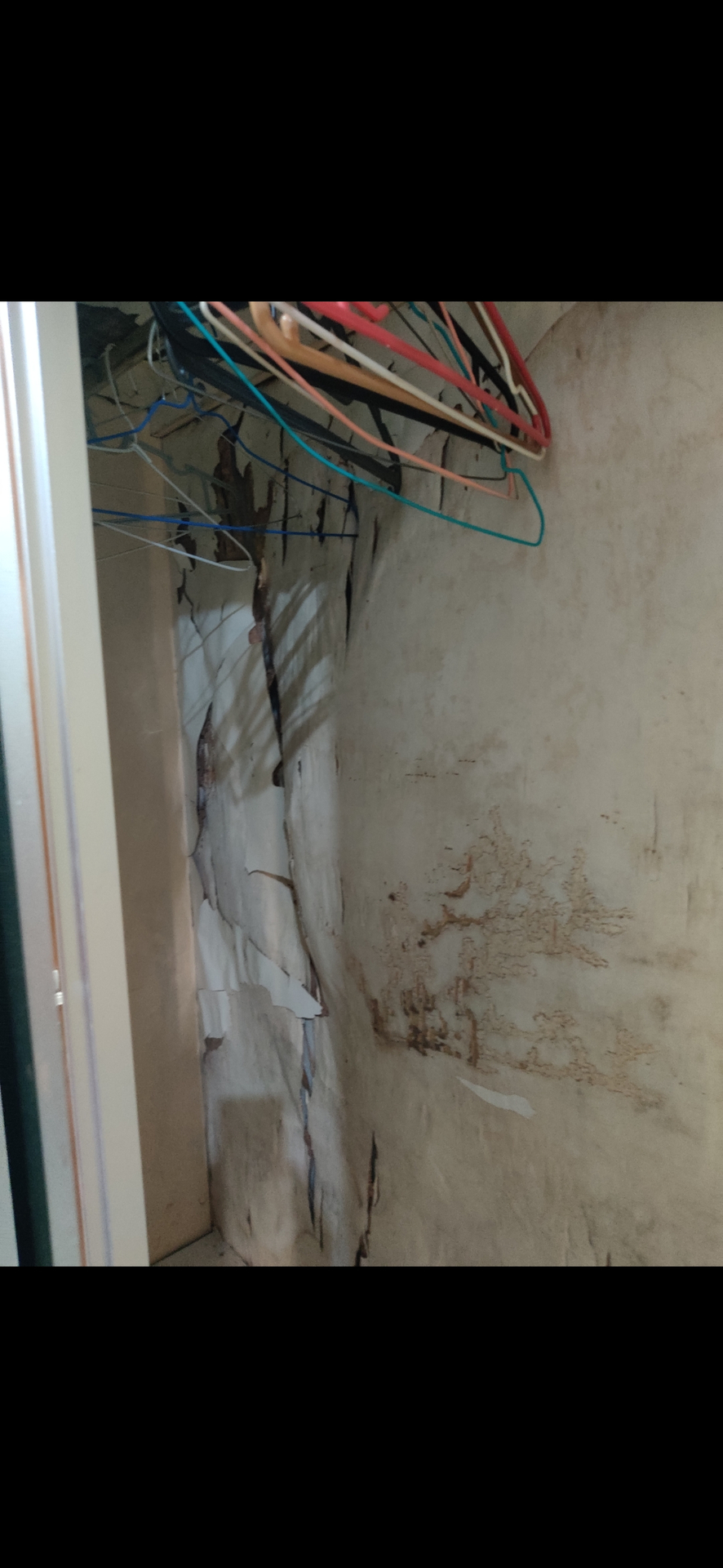 userImage-5