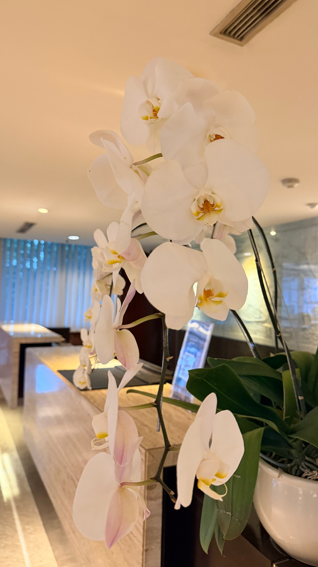 userImage-6