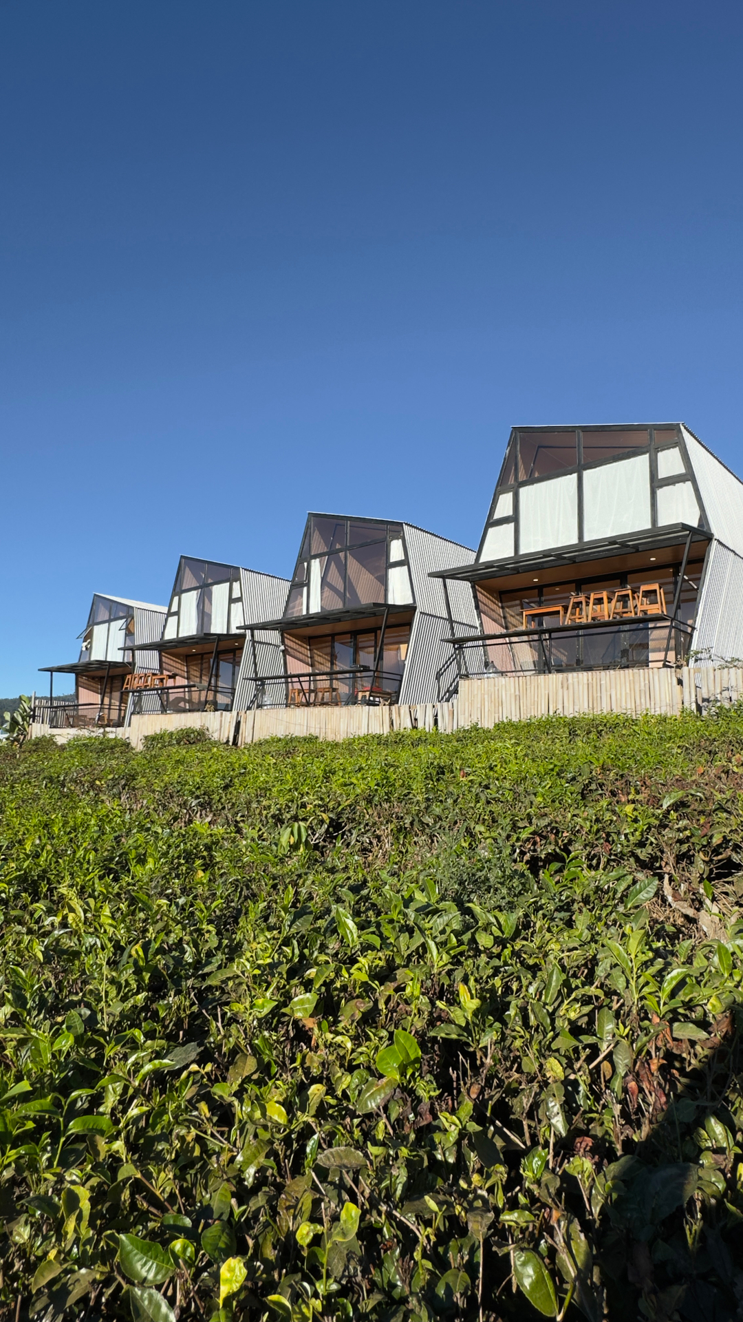 userImage-5