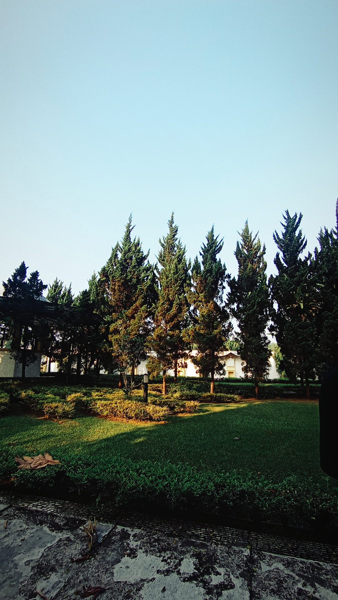 userImage-0