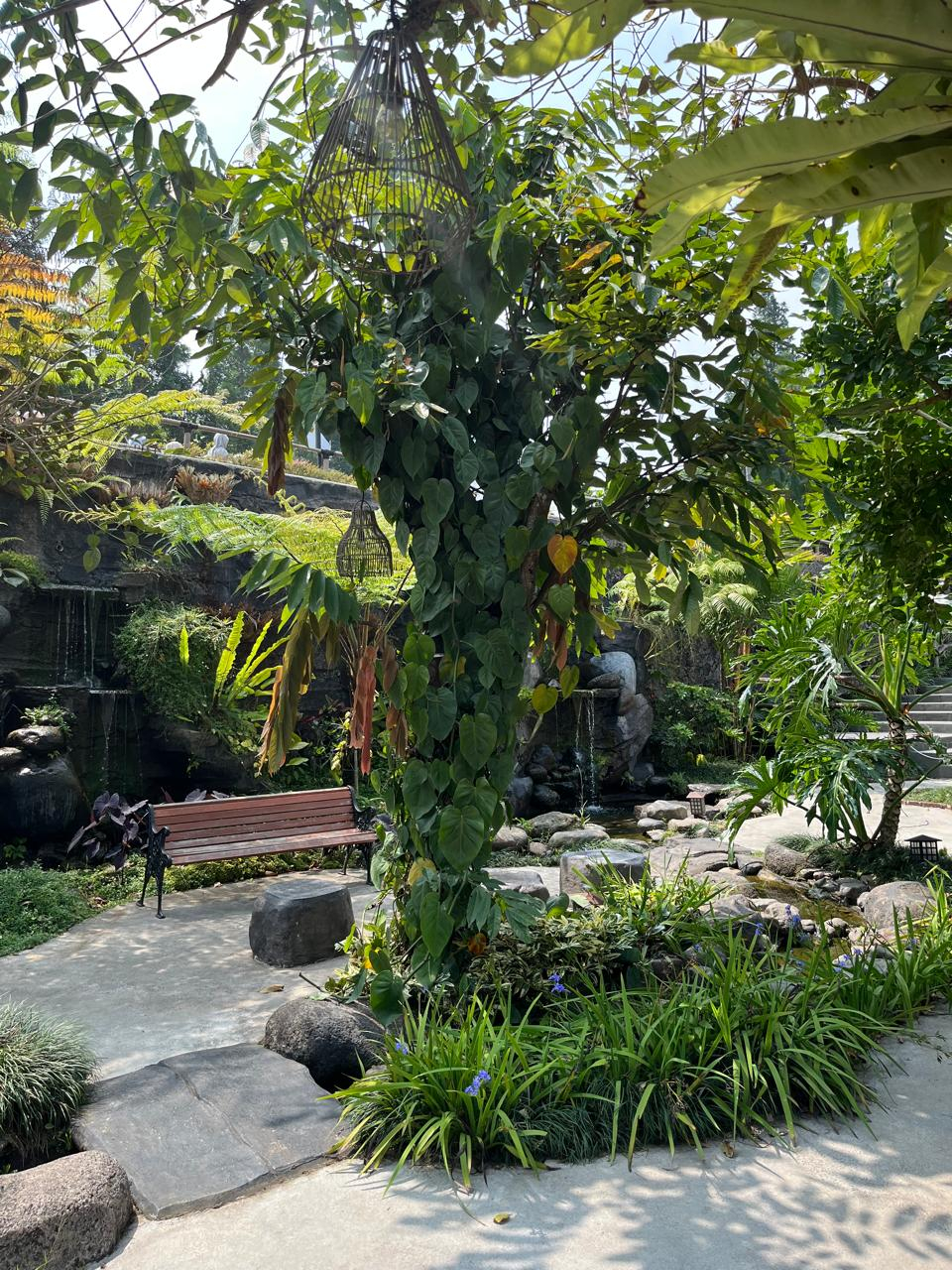 userImage-0