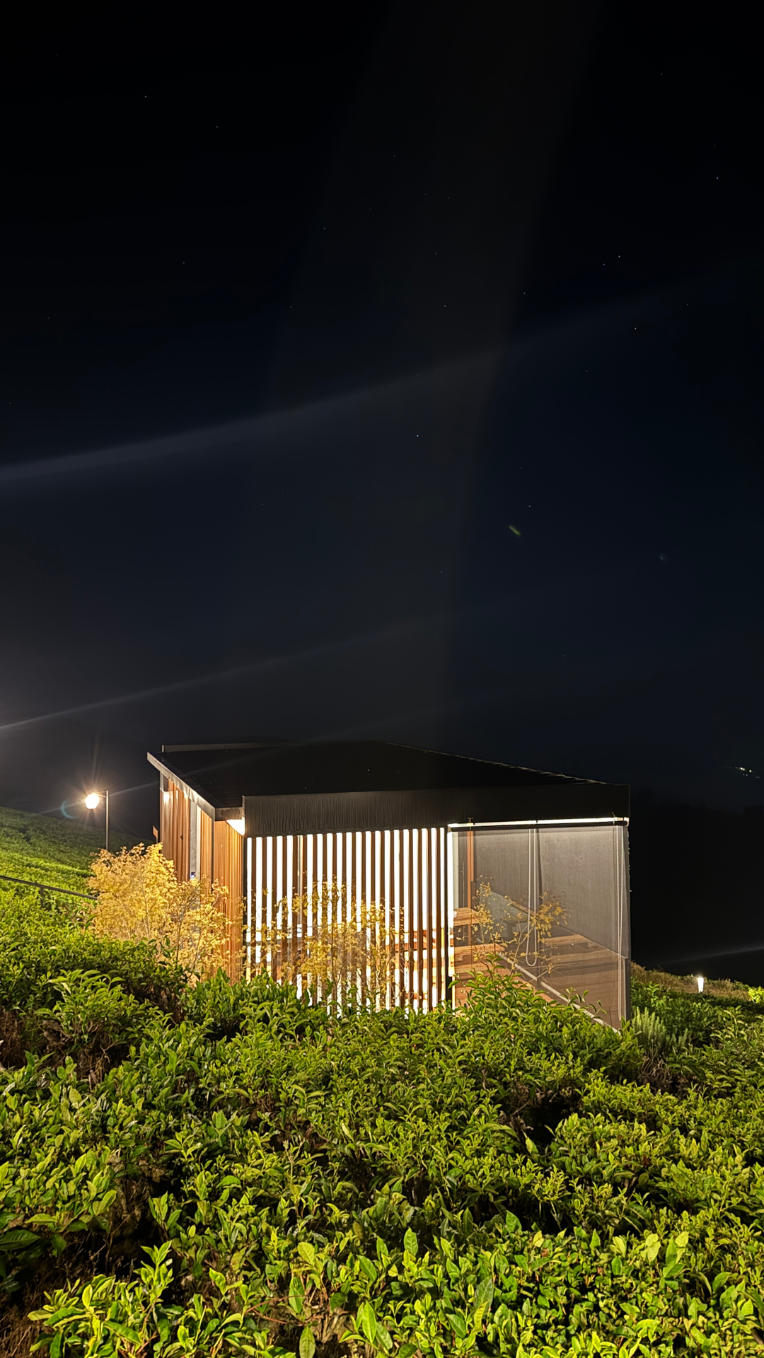 userImage-3