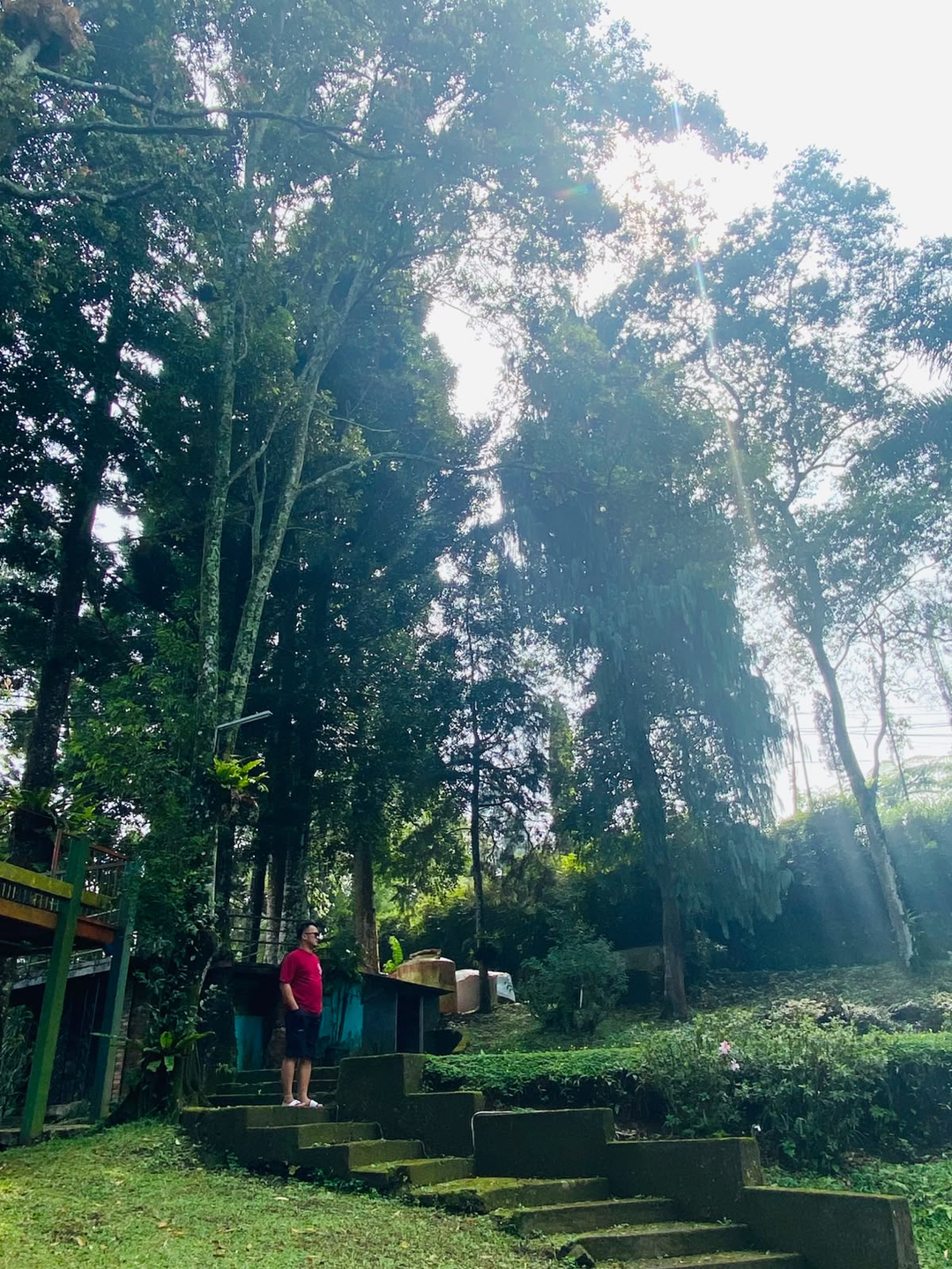 userImage-0