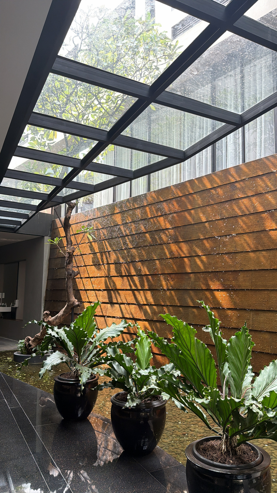userImage-1