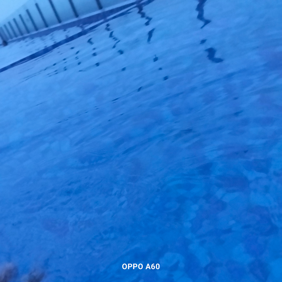 userImage-0