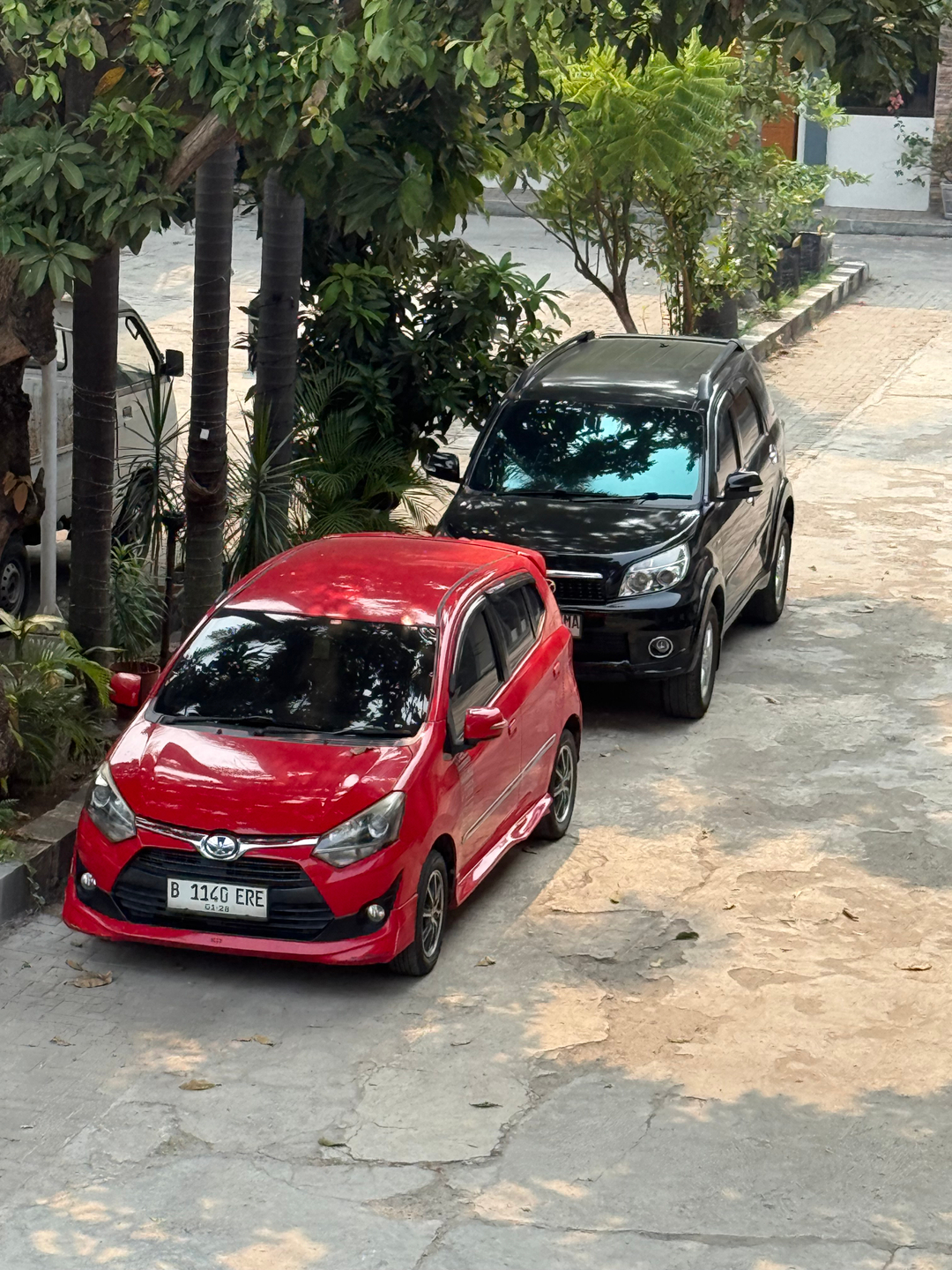 userImage-1