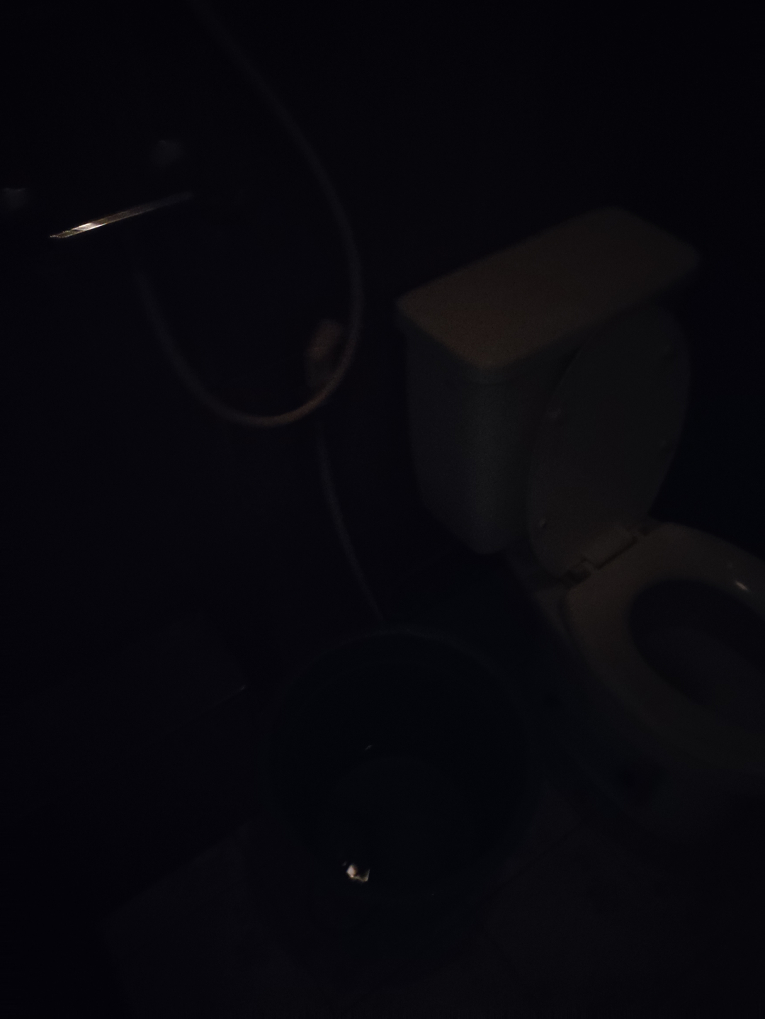 userImage-11