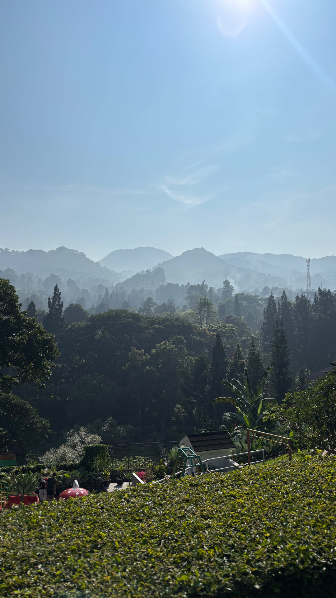 userImage-1