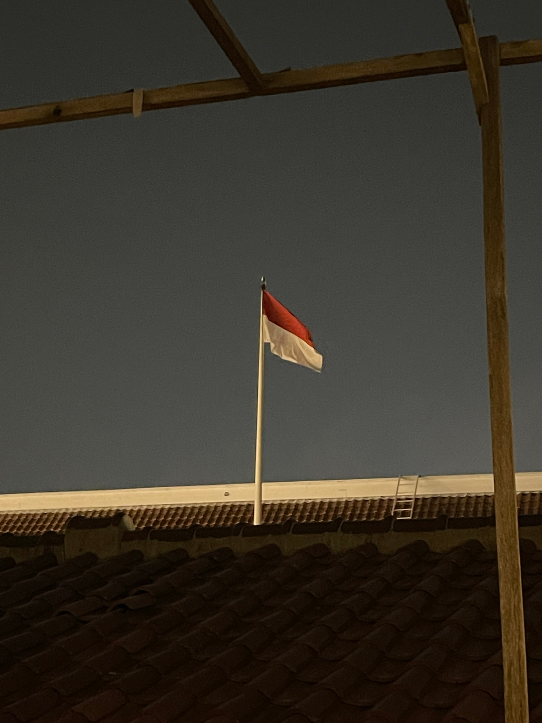 userImage-0