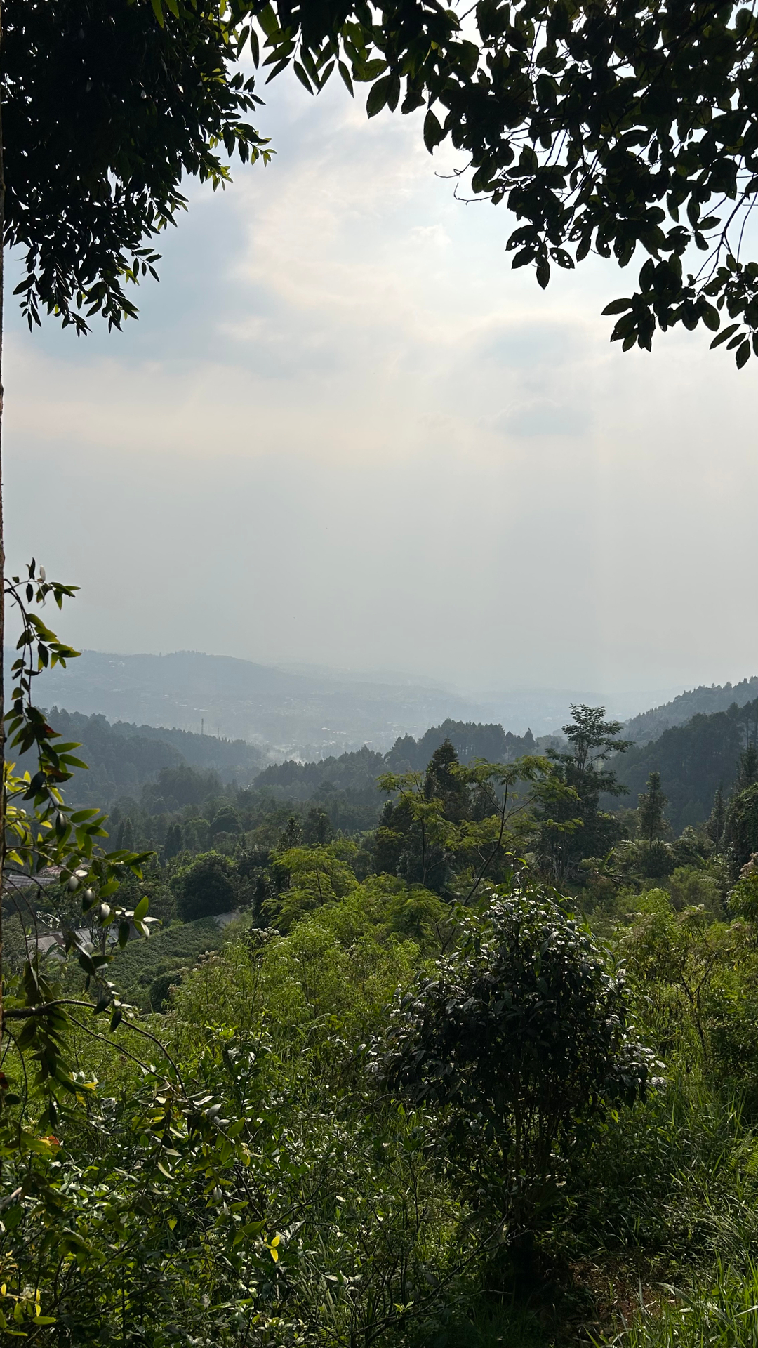 userImage-0