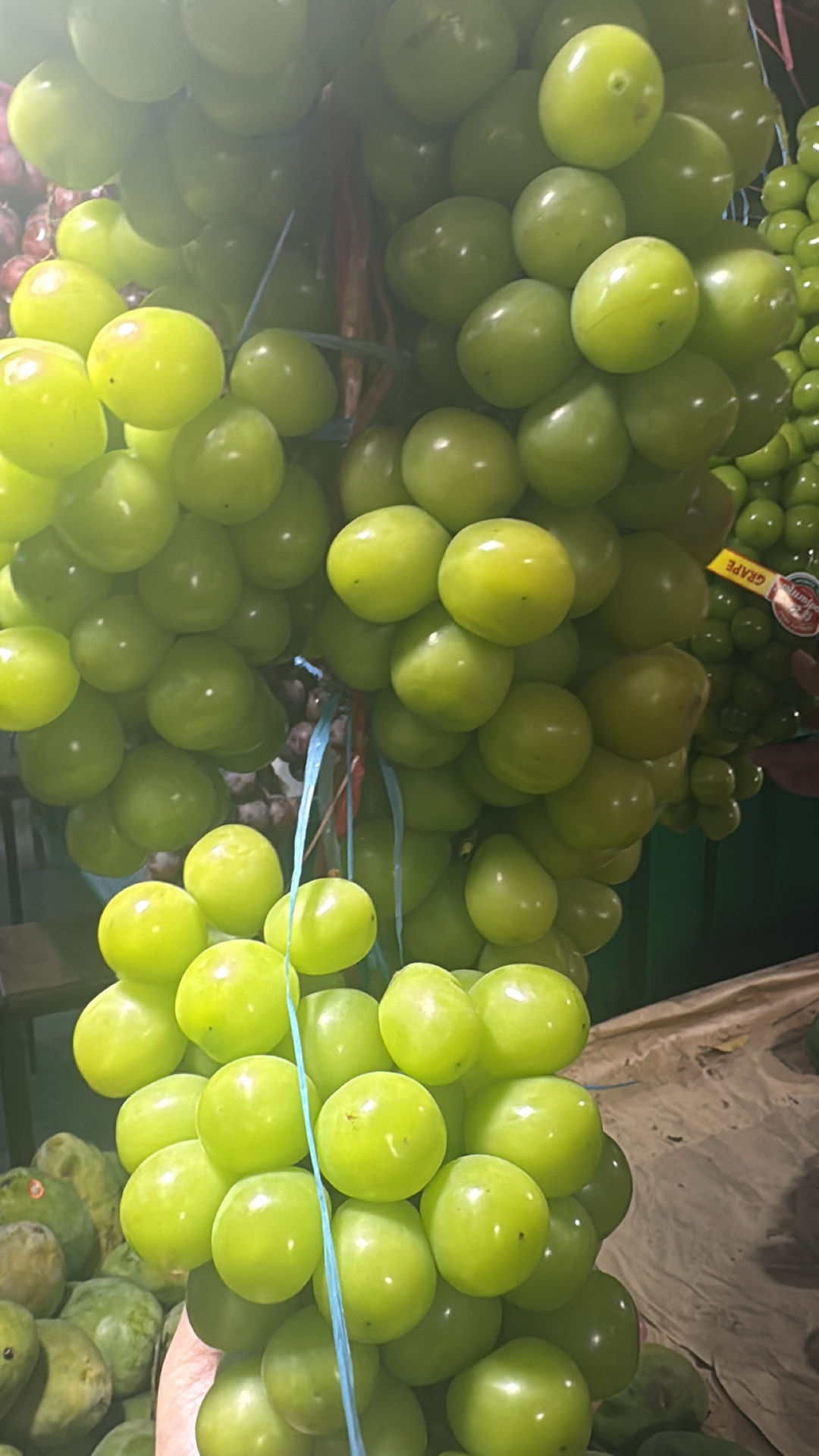 userImage-6