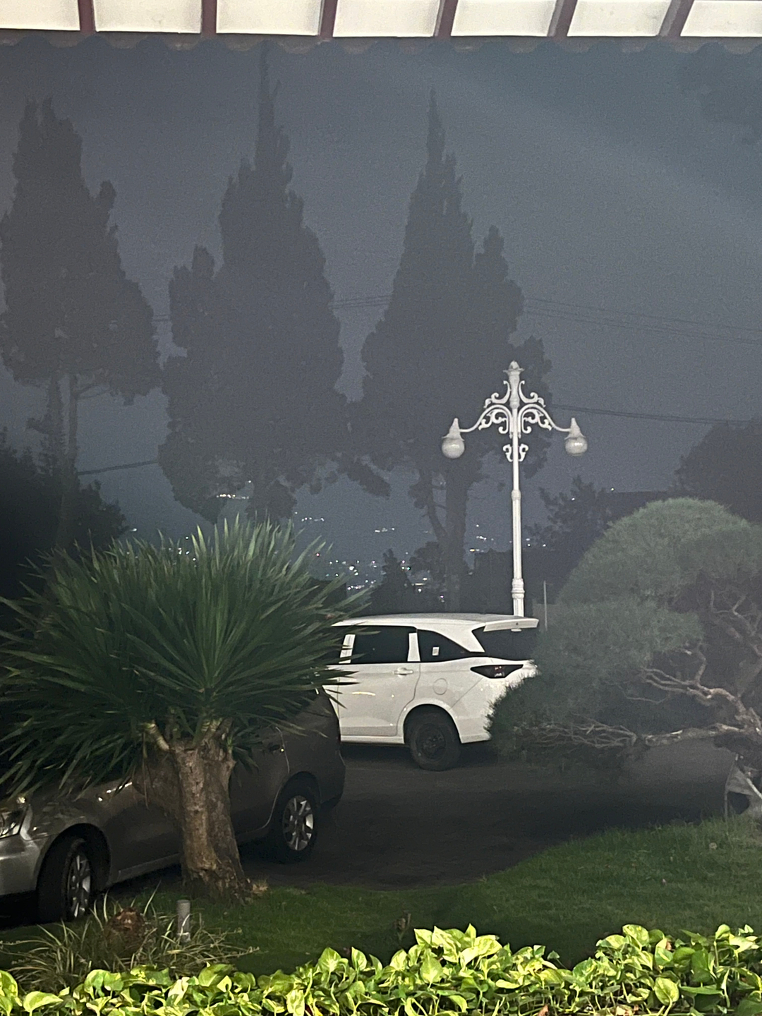 userImage-1