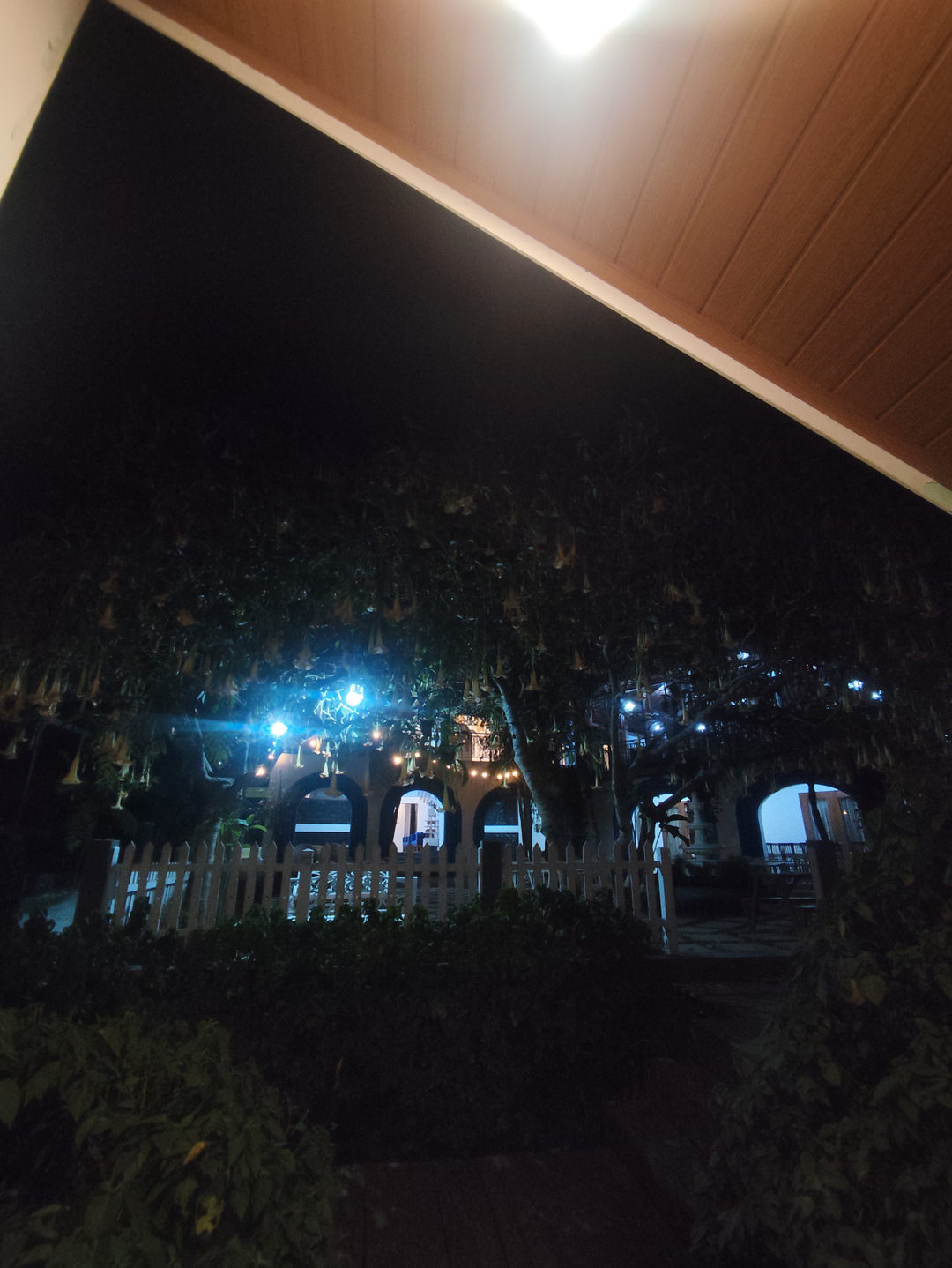 userImage-9