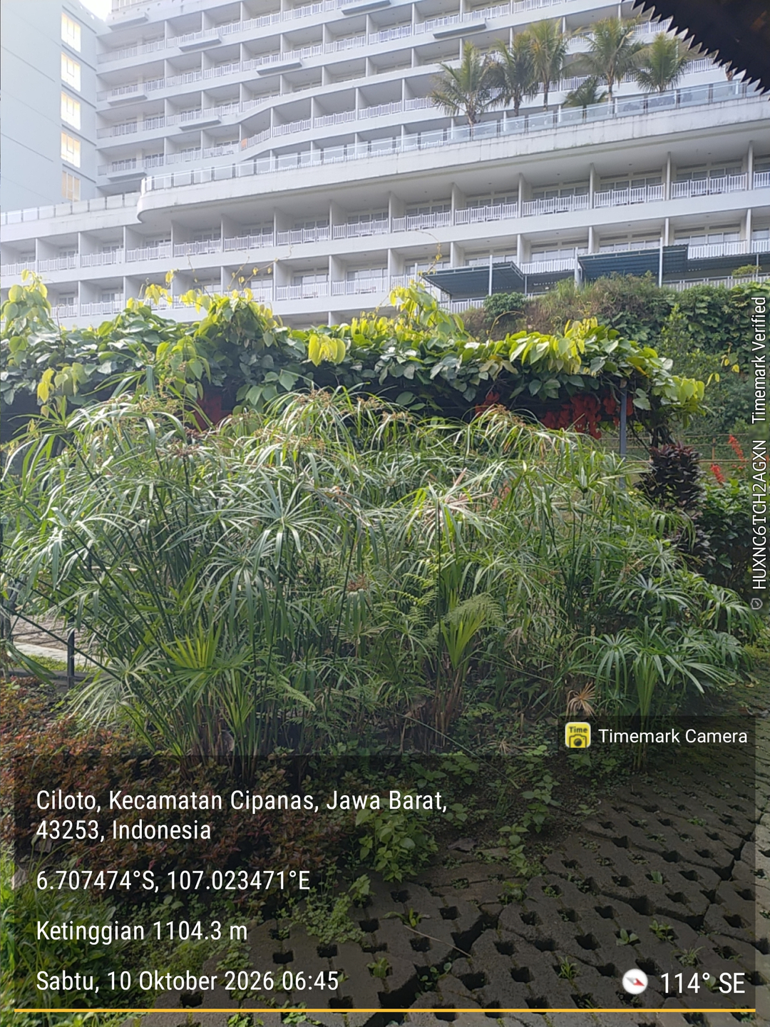 userImage-0