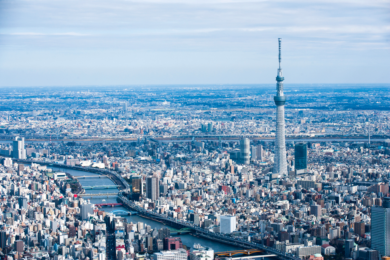 9061a60f-dadb-4b50-9df0-bec64712bf8c.jpg