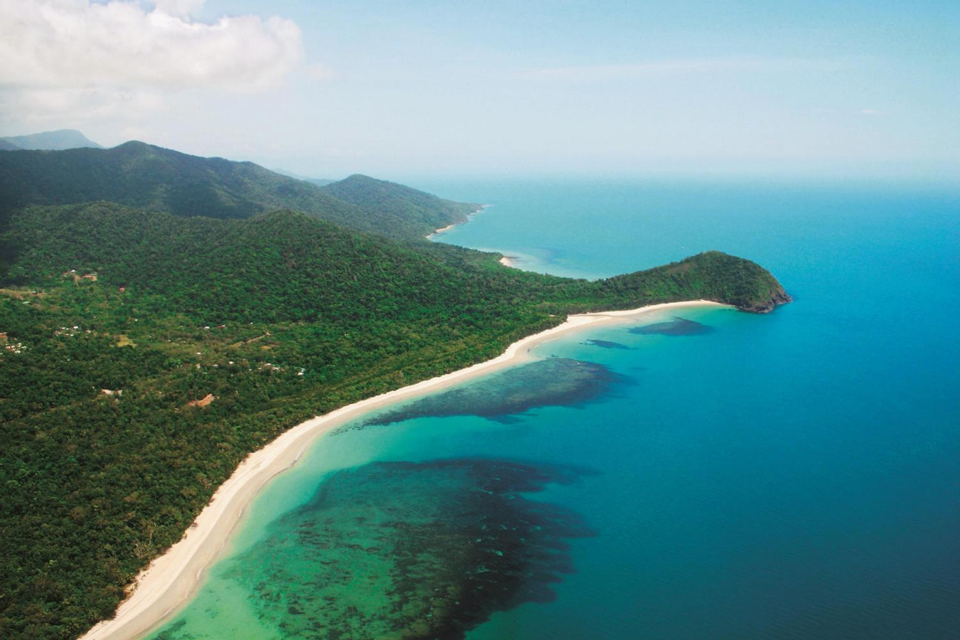 Cape Tribulation and Daintree Wilderness Full-Day Tour from Cairns nY9Qs0V3