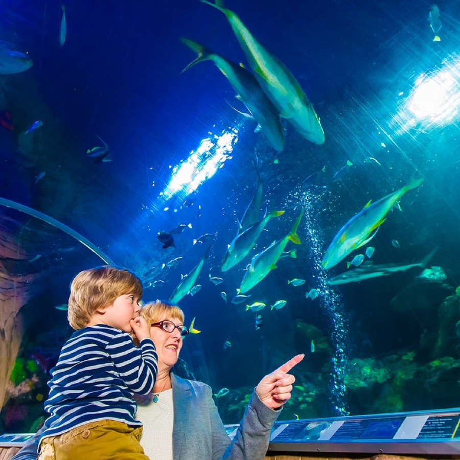 SEA LIFE Munich Aquarium Ticket NQgvor7j