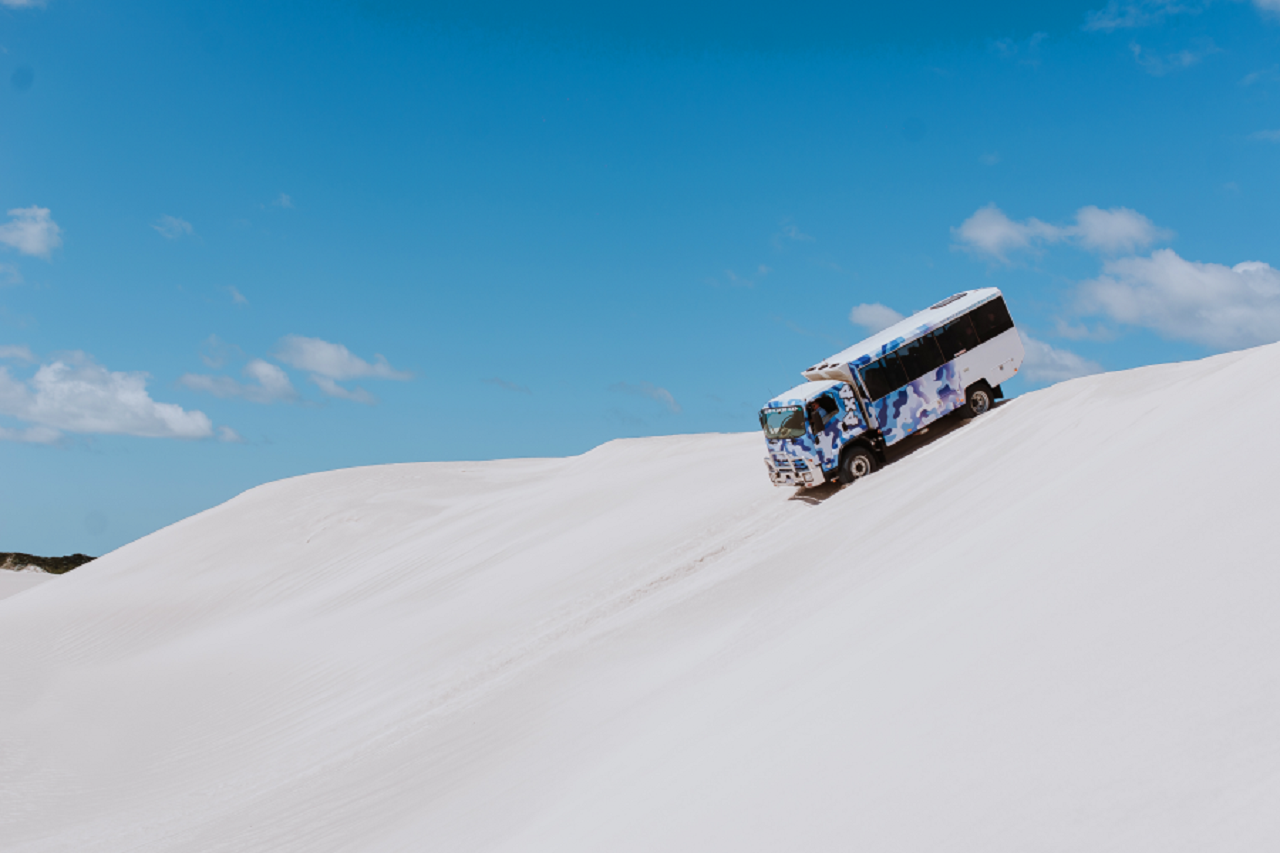 Pinnacles Desert Tour with 4WD Adventure from Perth eUtOTjW5