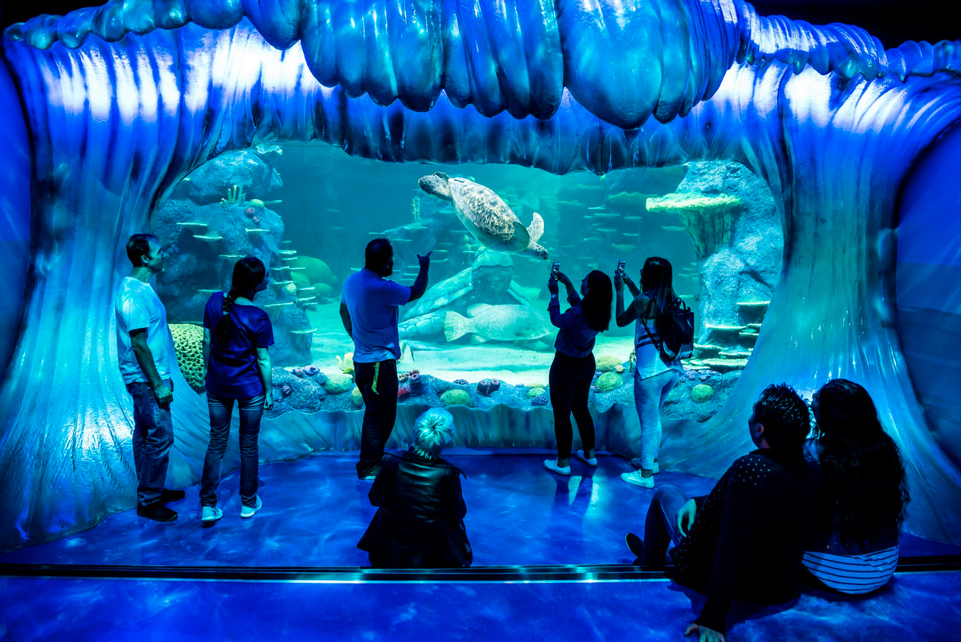 Sydney Multi-Attraction Pass k8hzUxov-backdrop