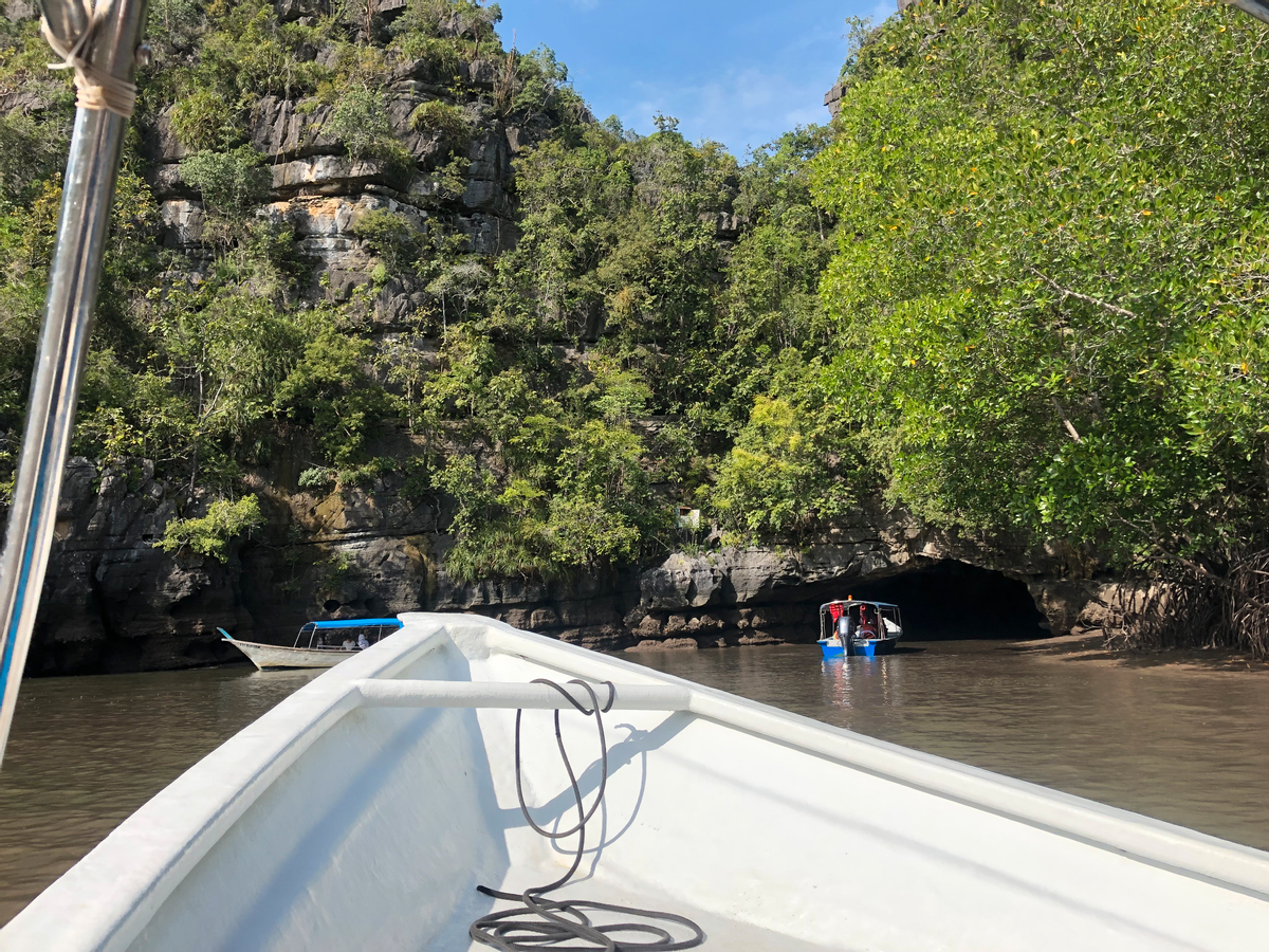 langkawi unesco geopark mangrove cruise