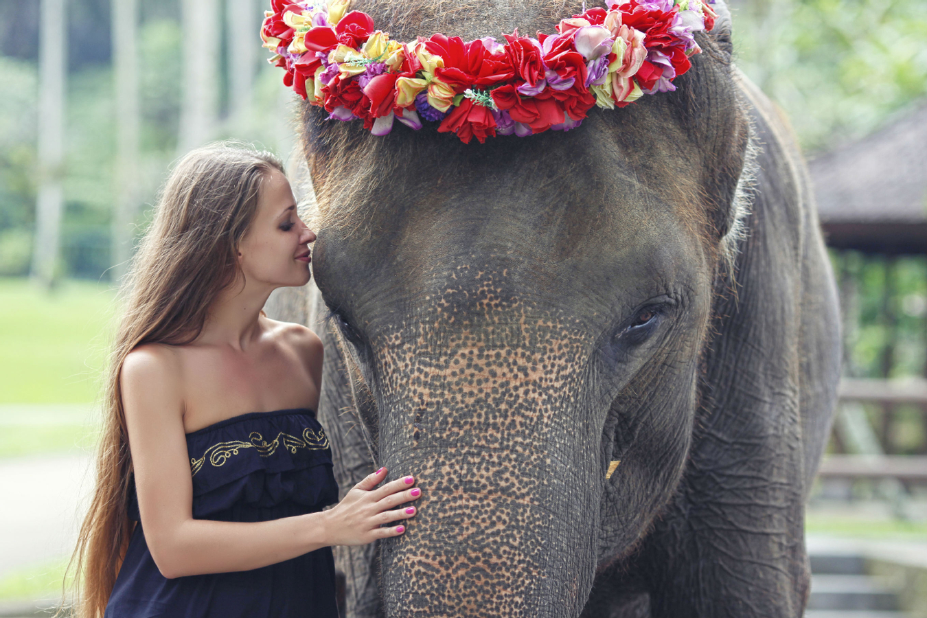 Mason Elephant Park Bali by Mason Adventures (Formerly known as Elephant Safari Park) waJUn3fK-backdrop